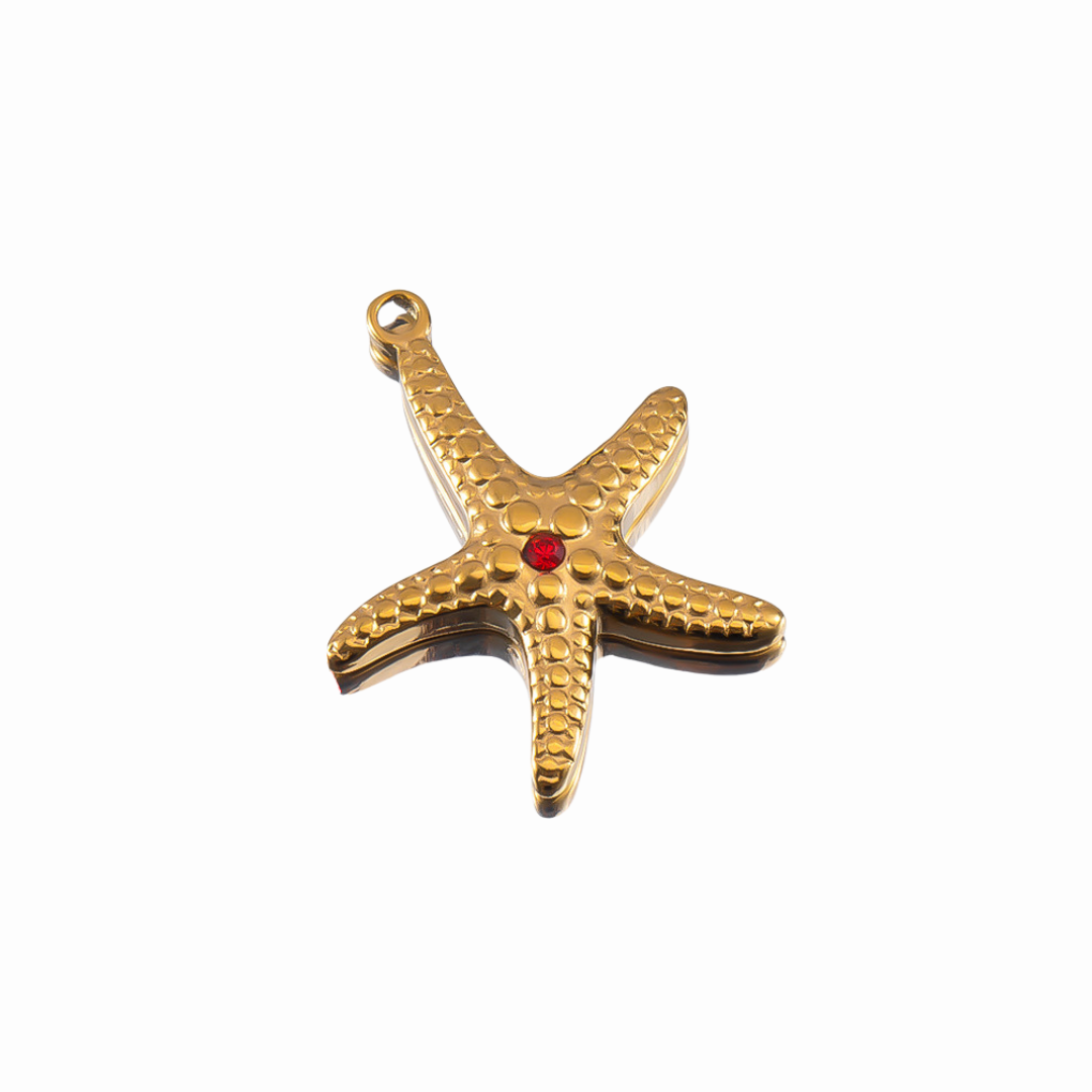 Dije estrella de mar, acero inoxidable Dije estrella de mar, acero inoxidable