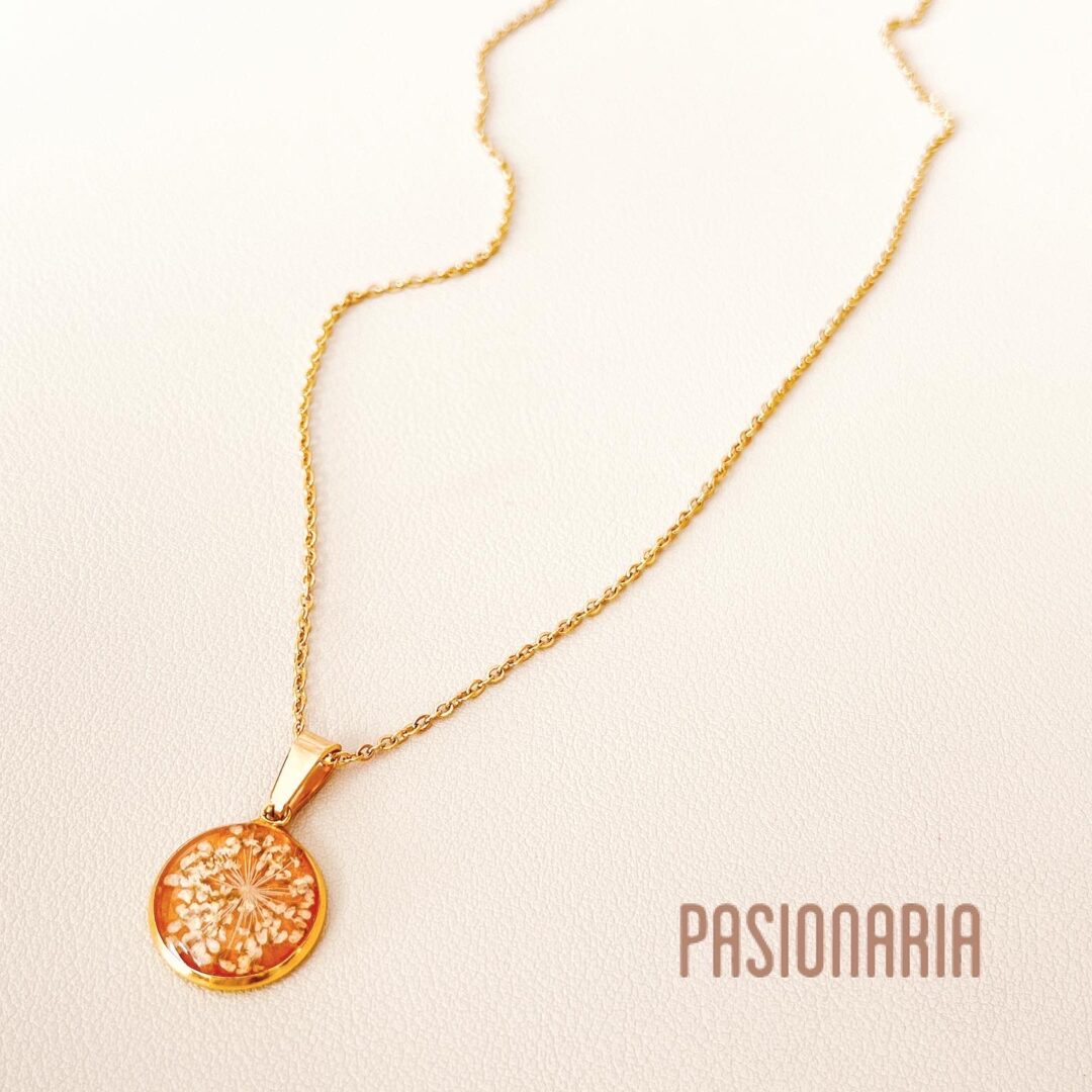 8501A8C5-6244-48A4-889D-E4F0921A15A5 Collar Conexión