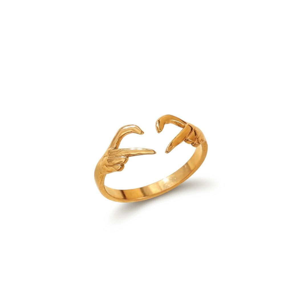 19 Anillo te quiero