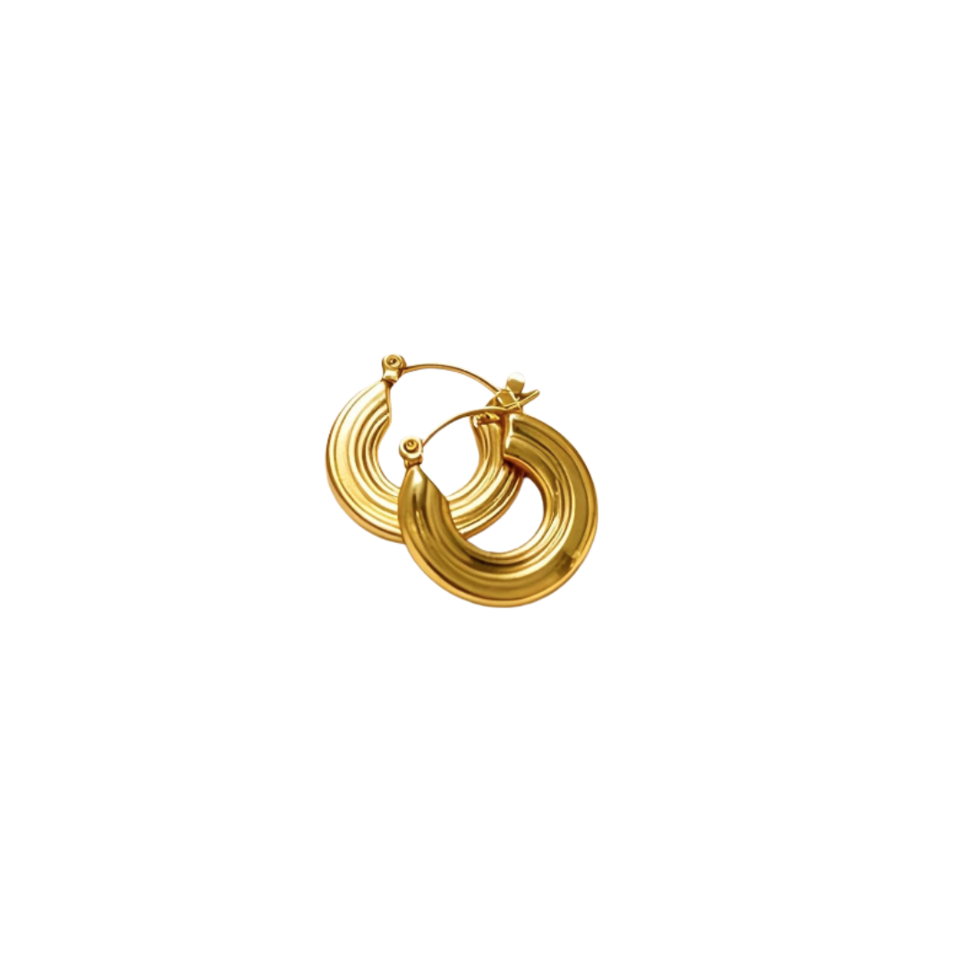 Aros Júpiter, acero inoxidable con oro de 18k, Pasionaria Aros Júpiter