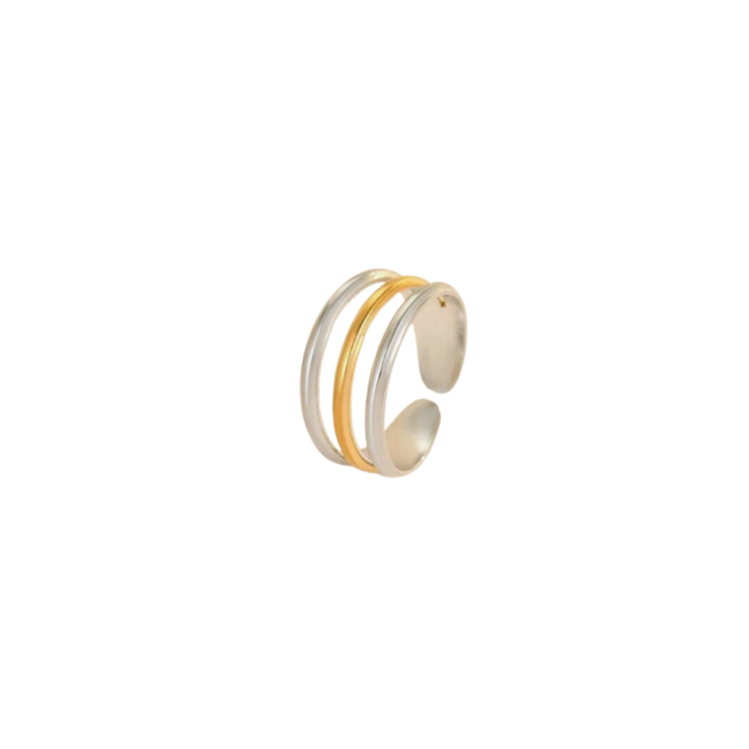 Anillo Monumento Anillo Monumento