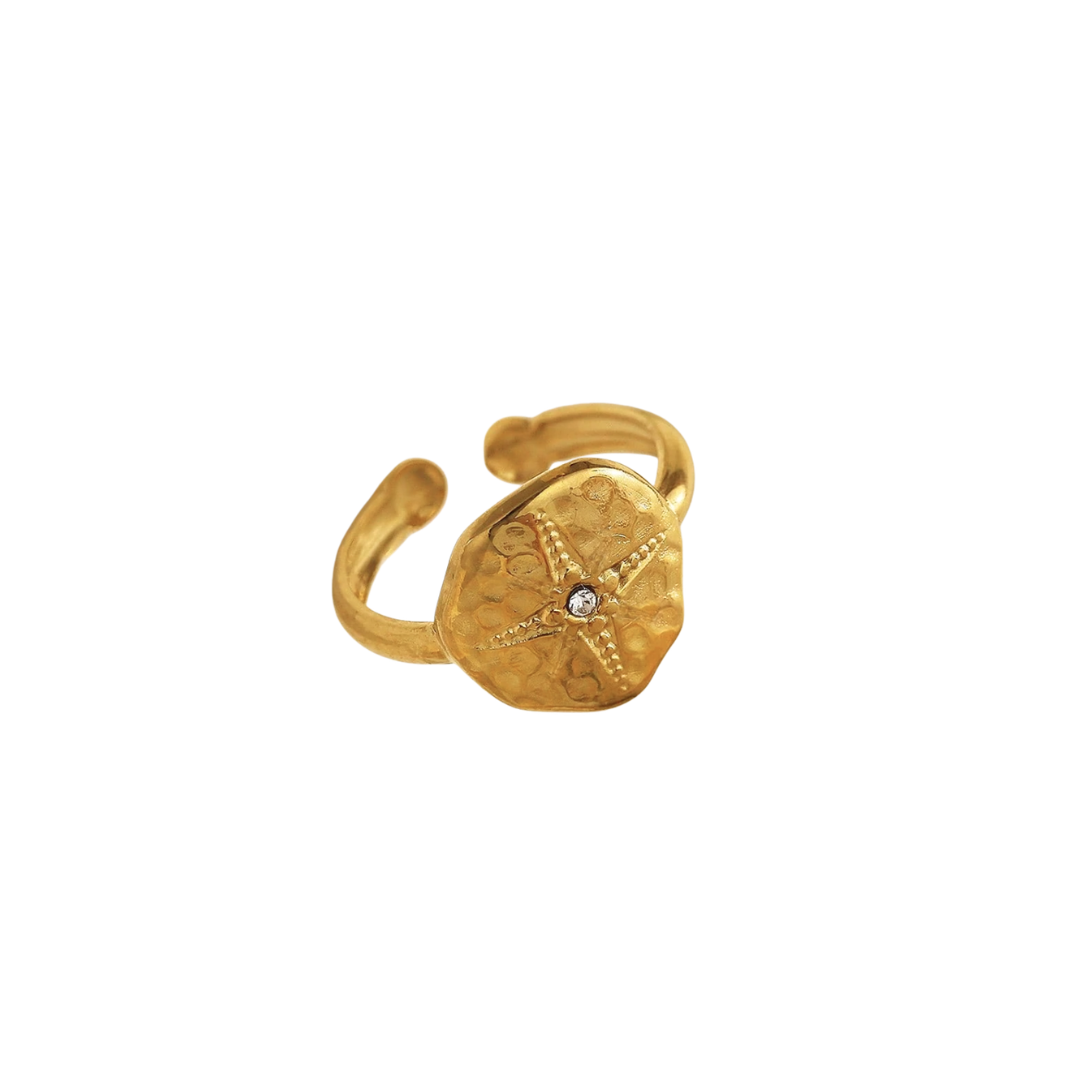 Anillo norte