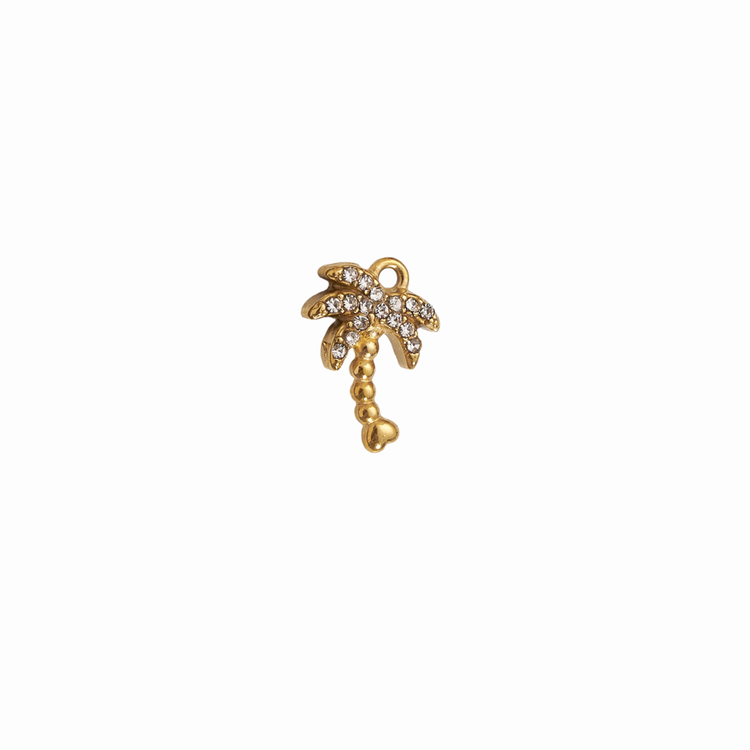 Charm palmera Charm palmera